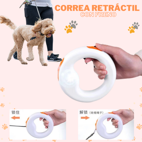 Correa Retráctil Mascotas Con Freno - Imagen 2