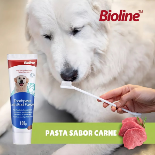 Set Cuidado Dental Bioline Para Perro - Imagen 2