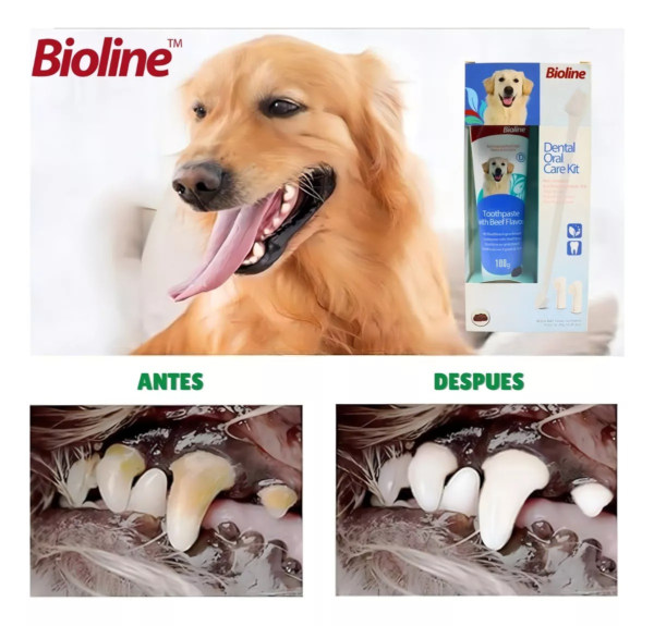 Set Cuidado Dental Bioline Para Perro - Imagen 3